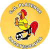 https://img.joycelafray.com/img/football/team/63b0933cc303927659846a4ed54b1522.png